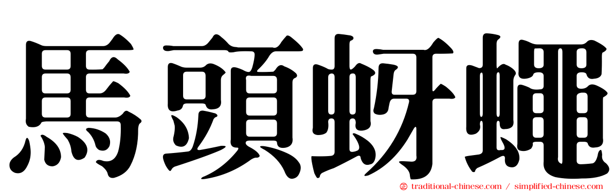 馬頭蚜蠅