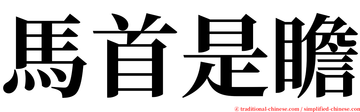 馬首是瞻 serif font
