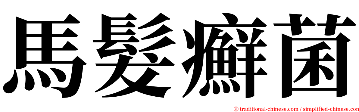 馬髮癬菌 serif font