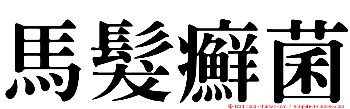 馬髮癬菌