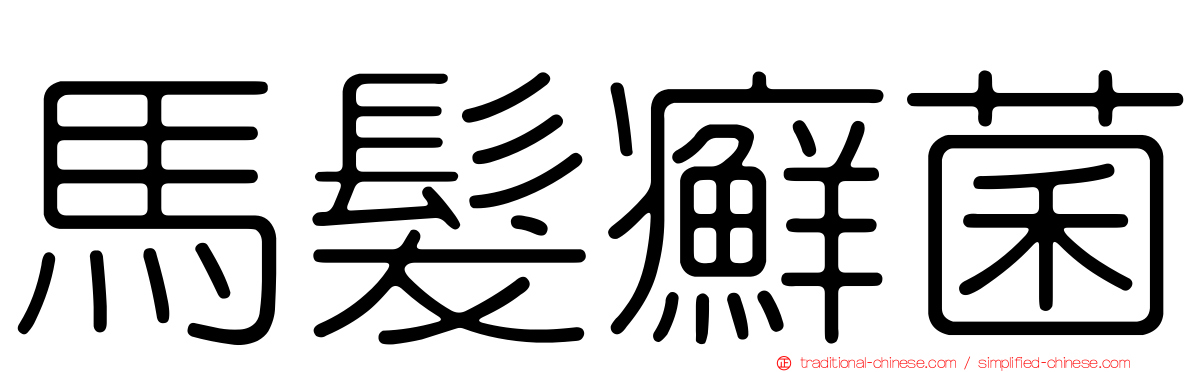 馬髮癬菌
