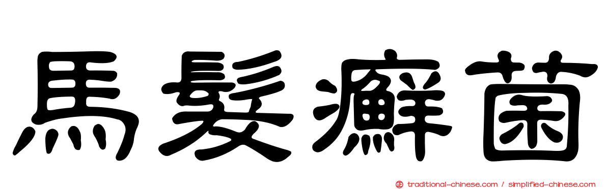 馬髮癬菌