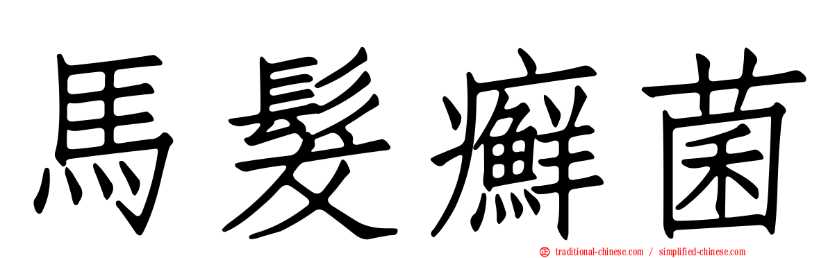 馬髮癬菌