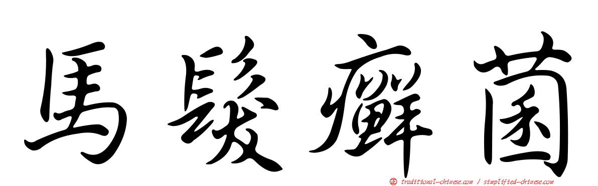 馬髮癬菌