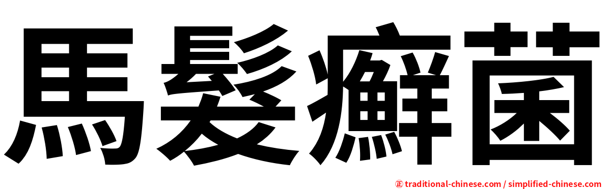 馬髮癬菌