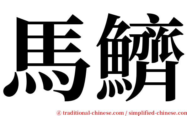 馬鱭 serif font