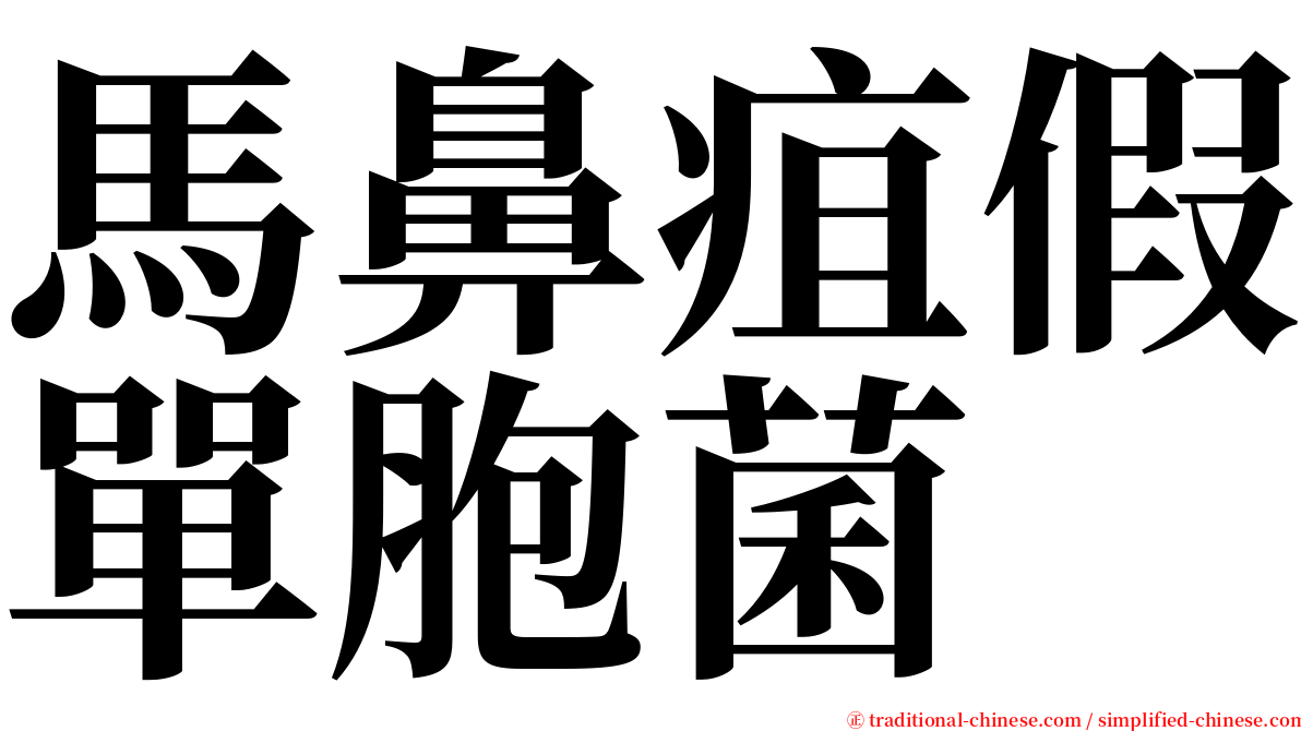 馬鼻疽假單胞菌 serif font