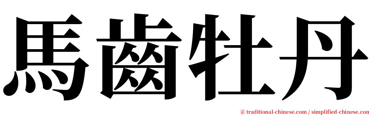 馬齒牡丹 serif font