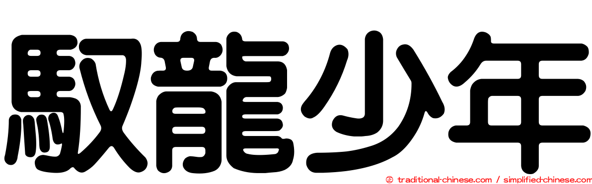 馭龍少年