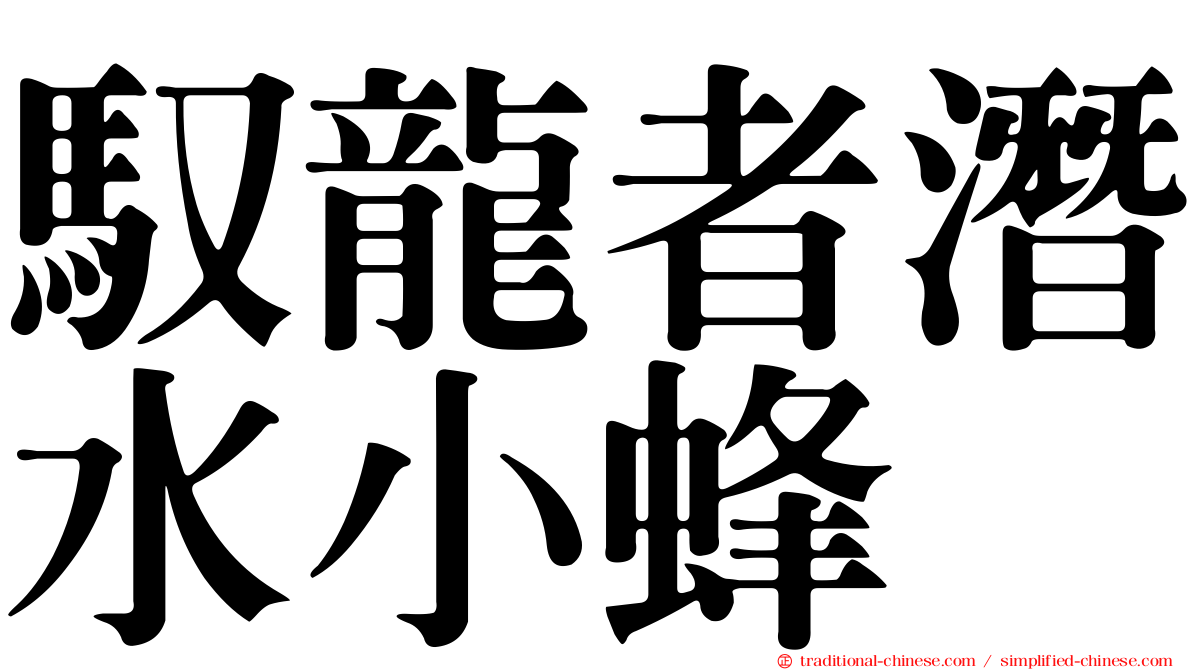 馭龍者潛水小蜂