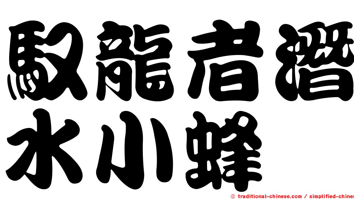 馭龍者潛水小蜂