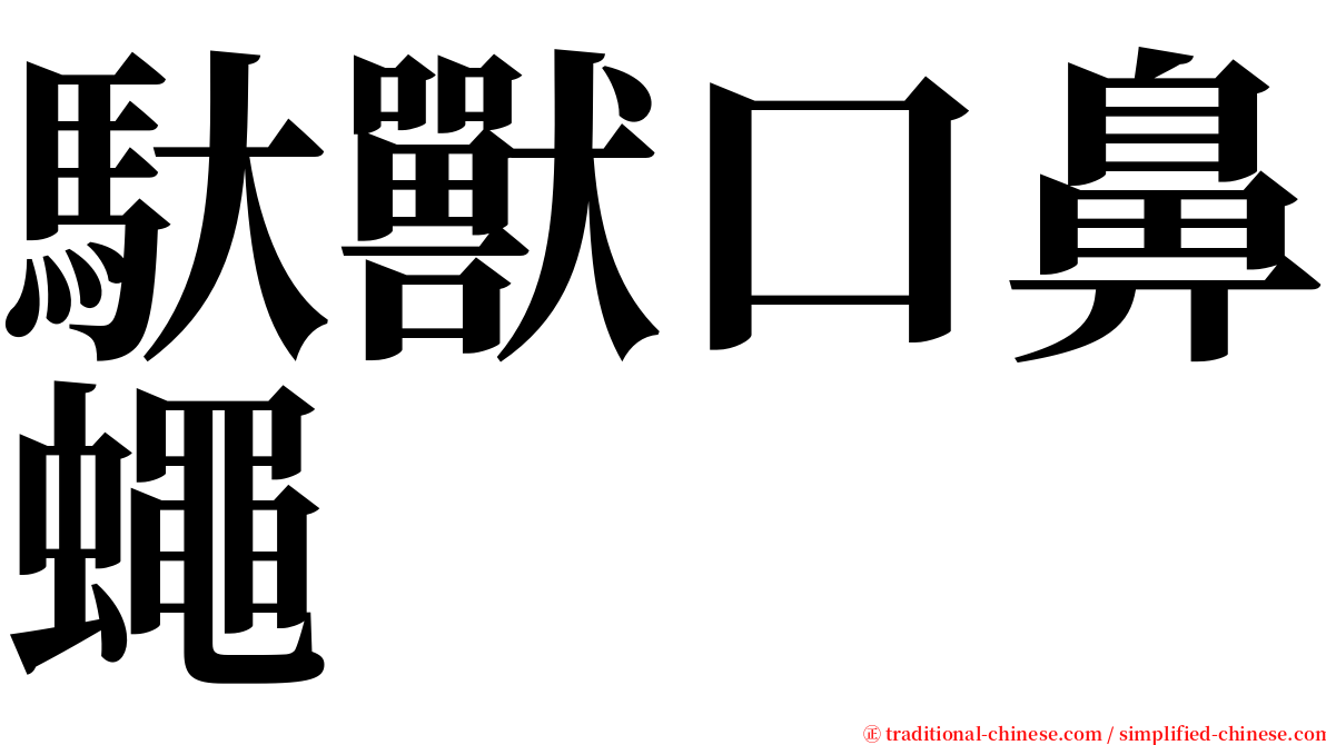 馱獸口鼻蠅 serif font