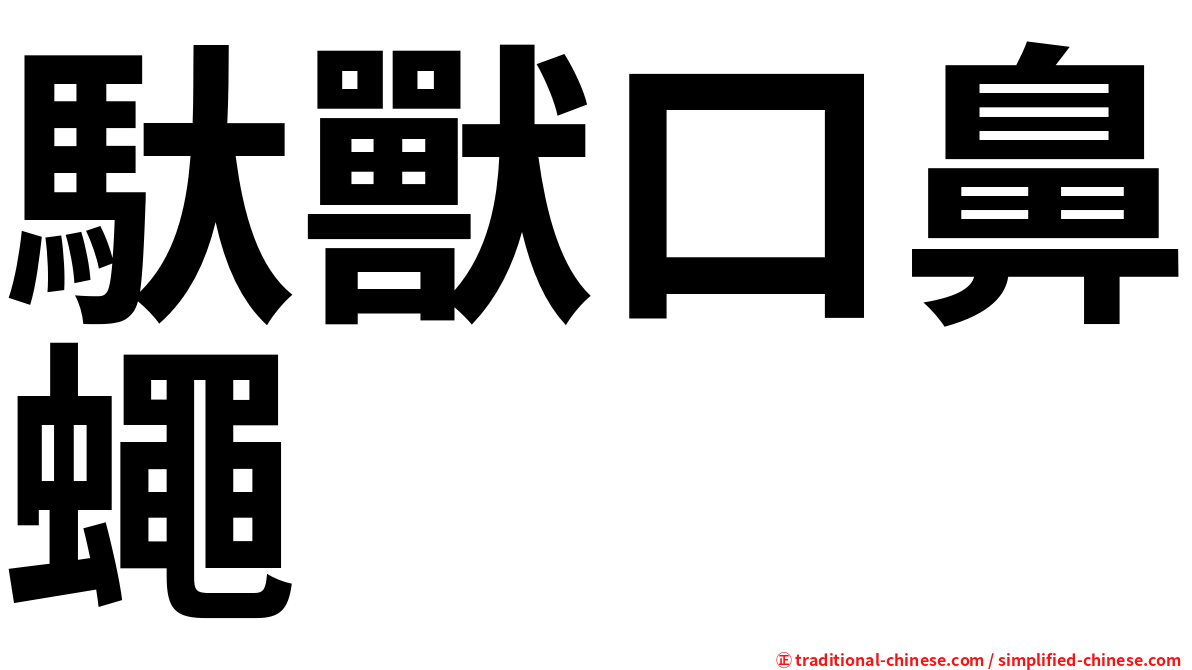 馱獸口鼻蠅