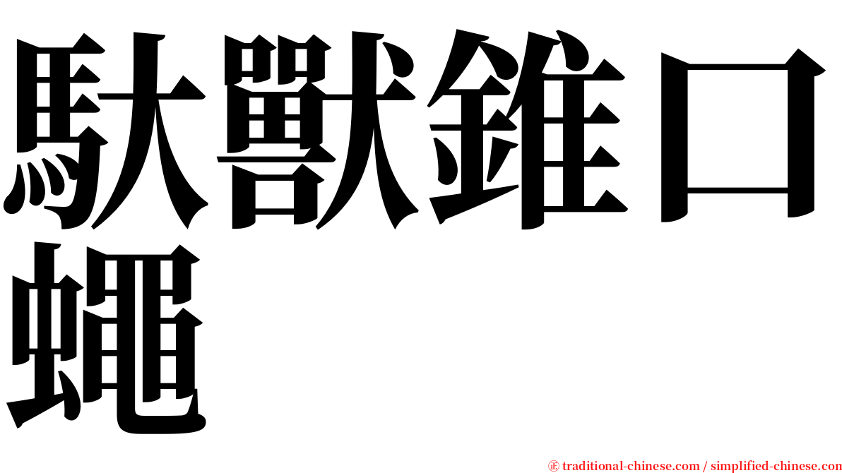 馱獸錐口蠅 serif font