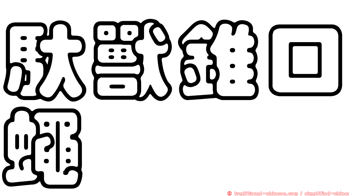 馱獸錐口蠅