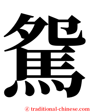 駌 serif font