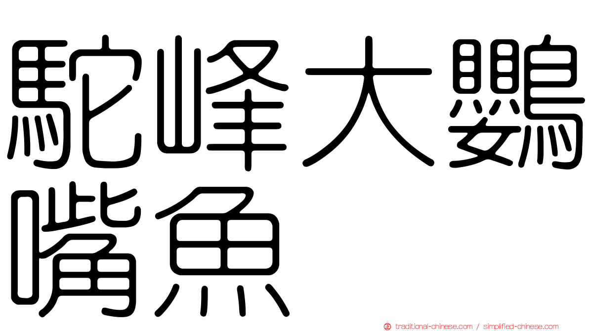駝峰大鸚嘴魚