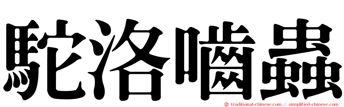 駝洛嚙蟲