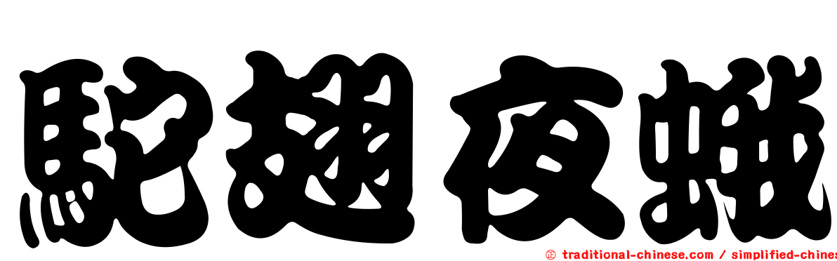 駝翅夜蛾