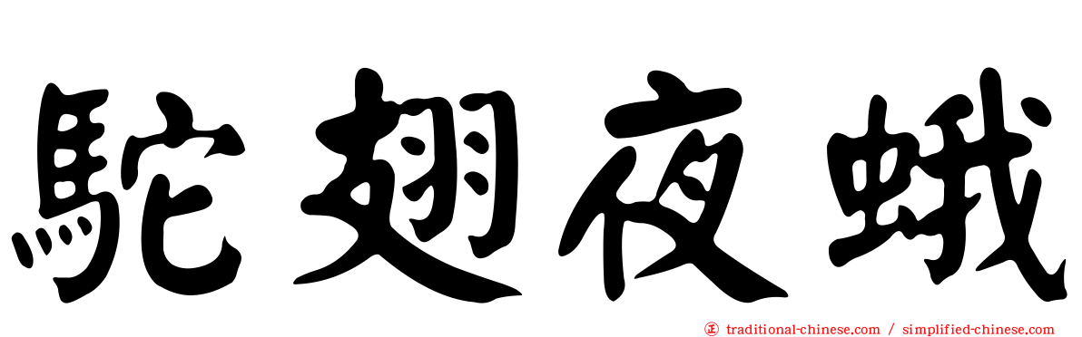 駝翅夜蛾