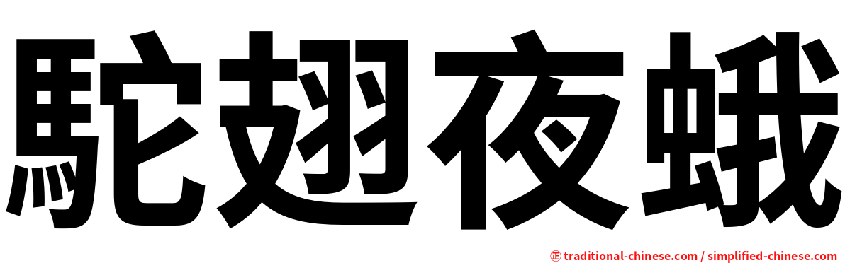 駝翅夜蛾