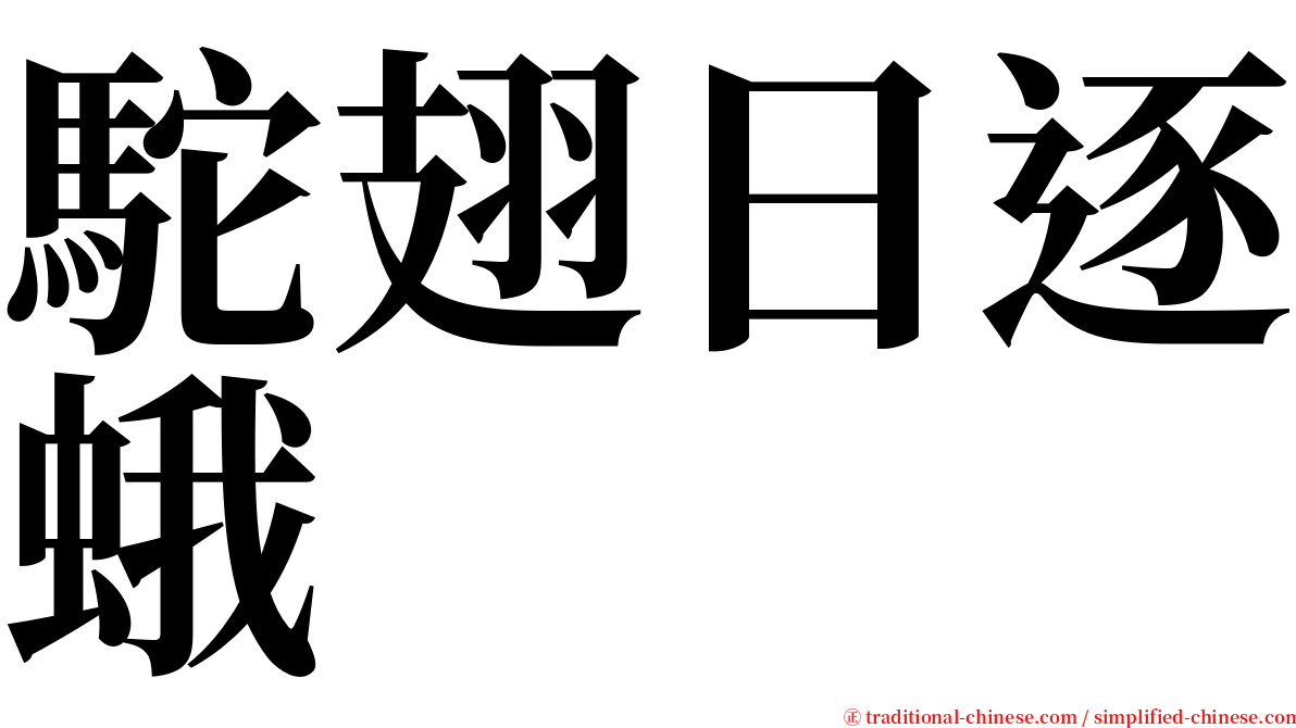 駝翅日逐蛾 serif font