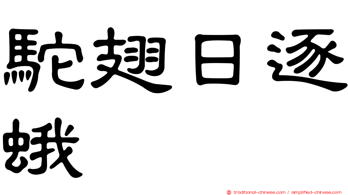 駝翅日逐蛾