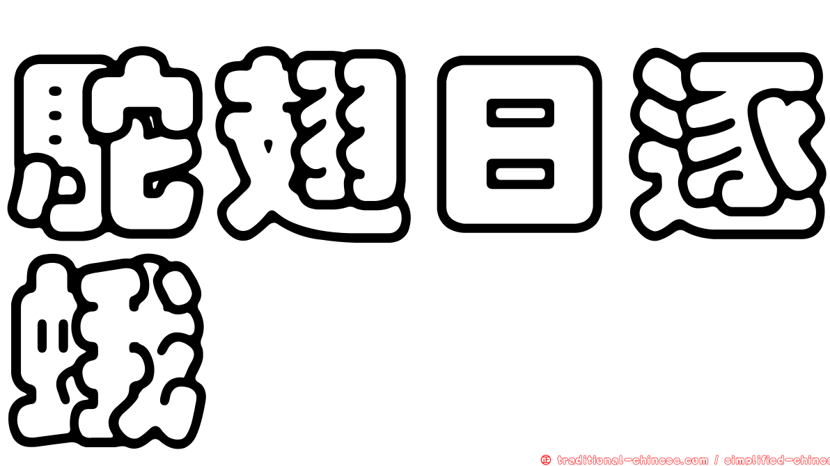 駝翅日逐蛾