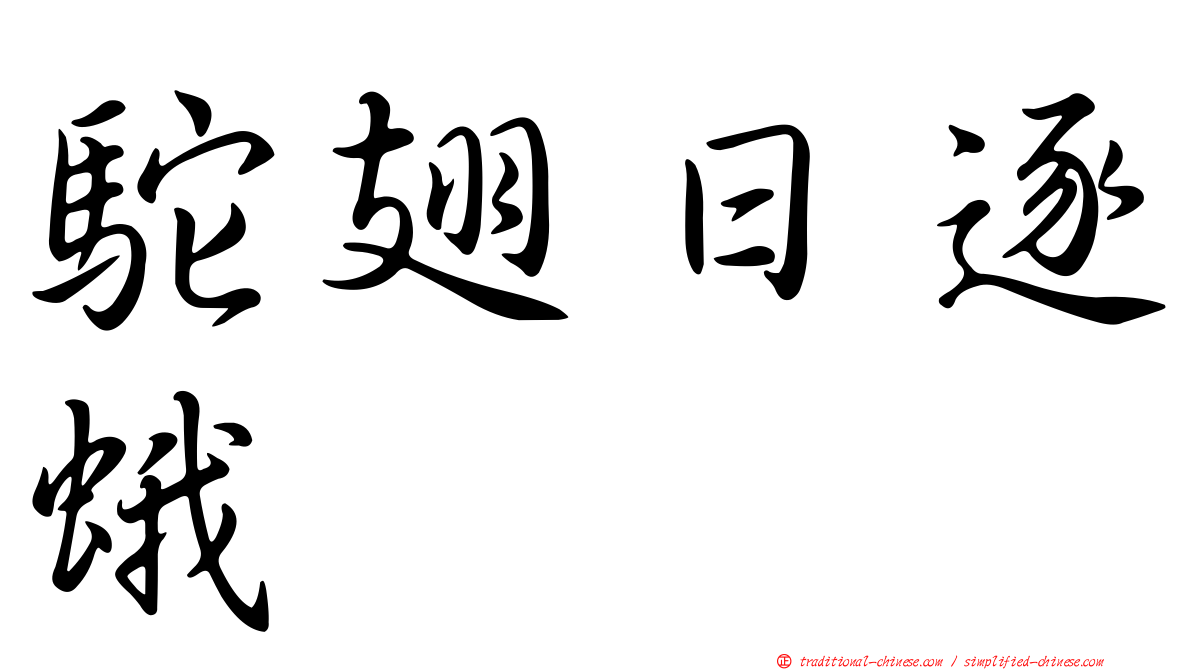 駝翅日逐蛾
