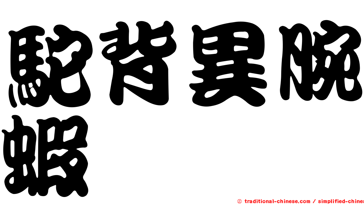 駝背異腕蝦