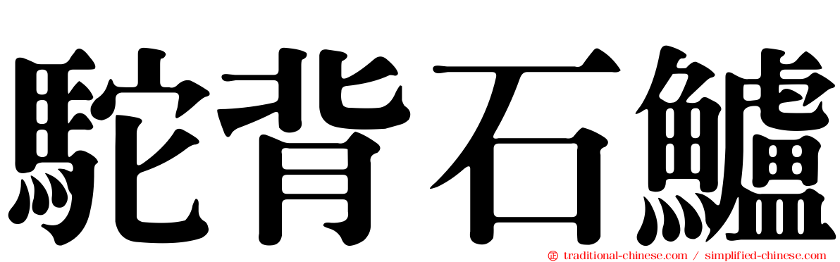 駝背石鱸