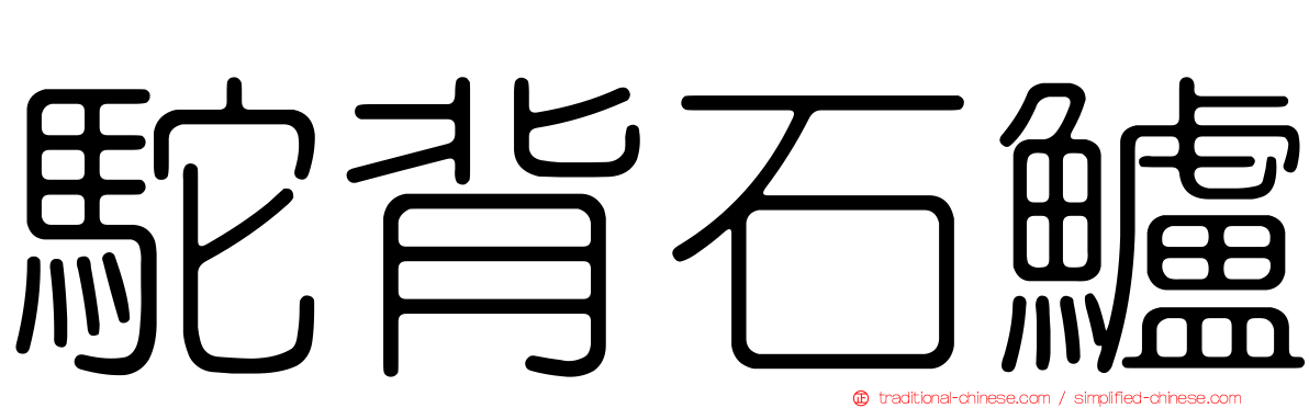 駝背石鱸