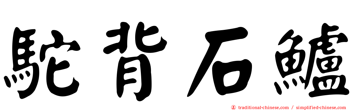 駝背石鱸