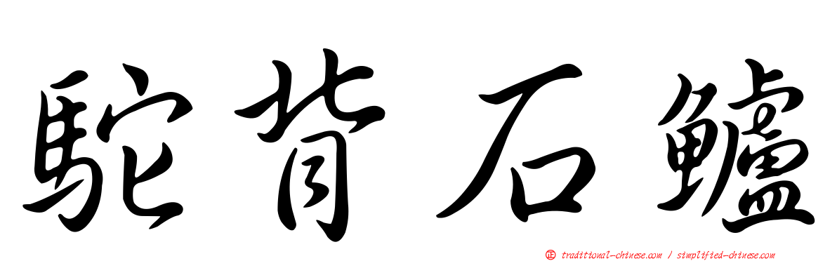 駝背石鱸