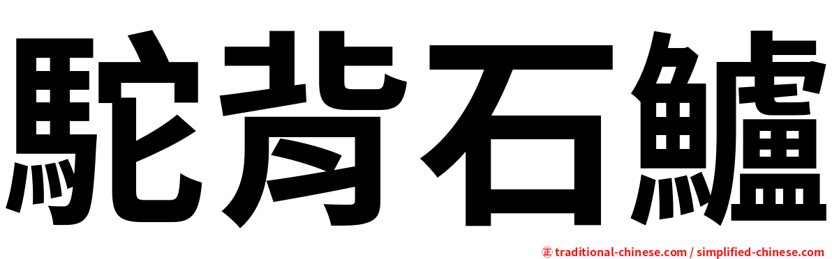 駝背石鱸