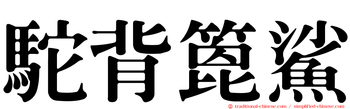 駝背篦鯊