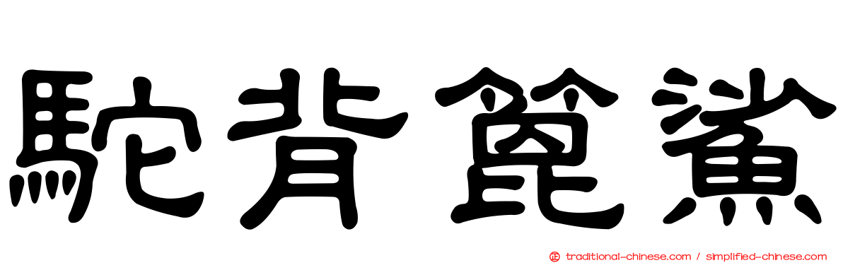 駝背篦鯊