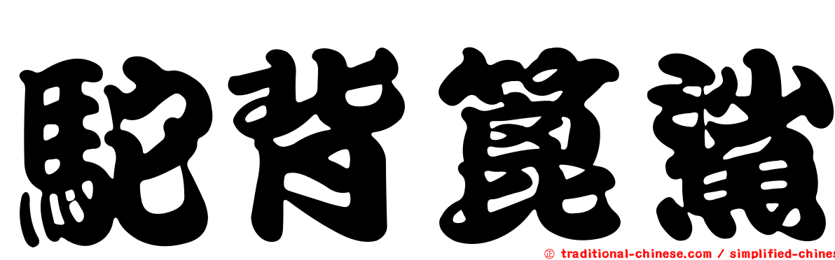 駝背篦鯊