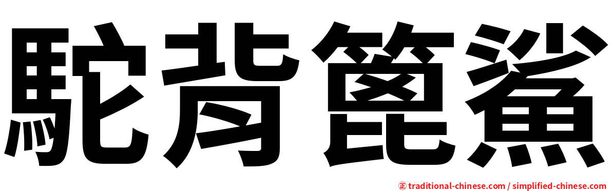 駝背篦鯊