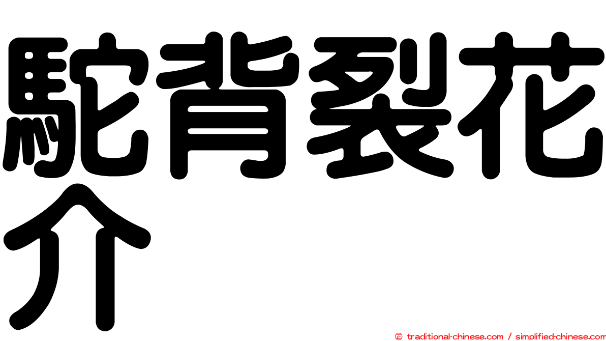 駝背裂花介