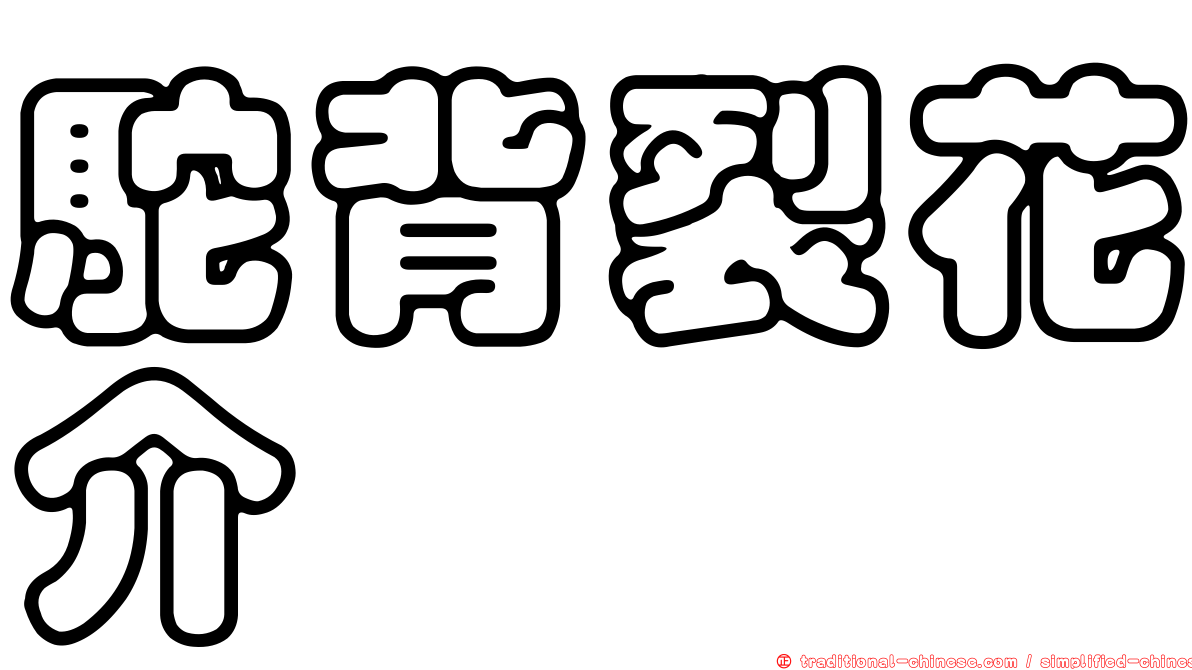 駝背裂花介