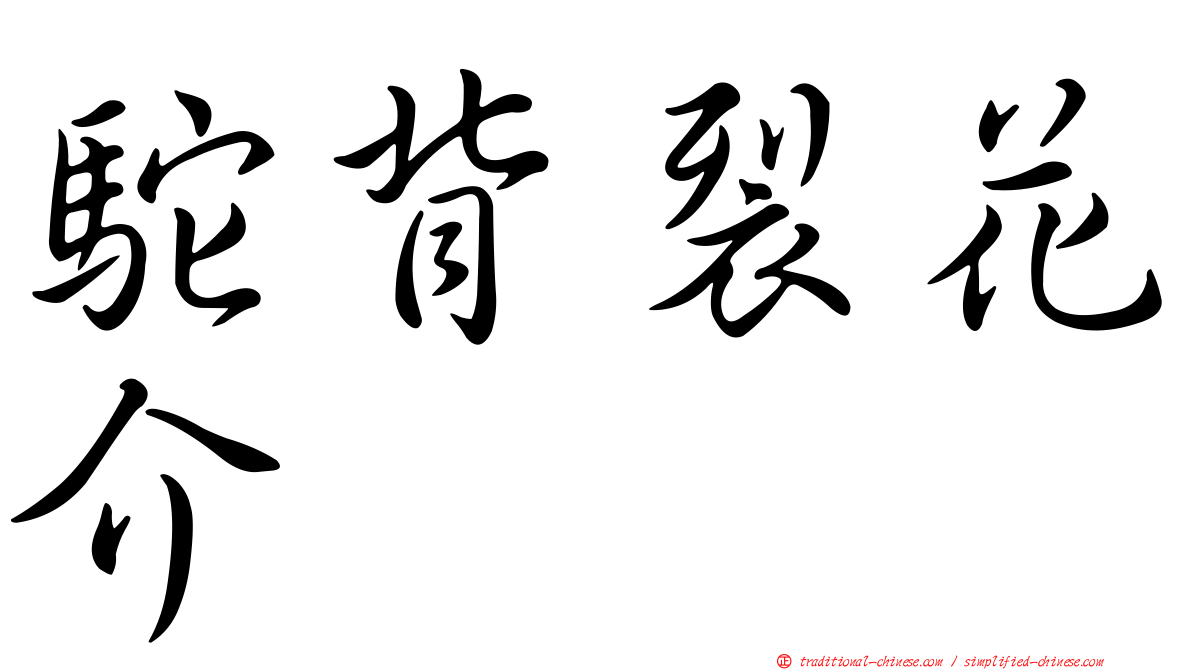 駝背裂花介