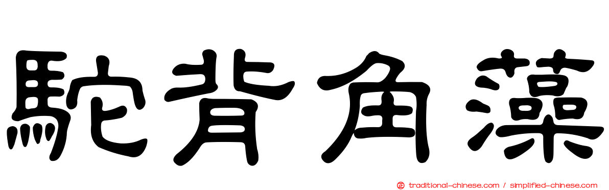 駝背角藻