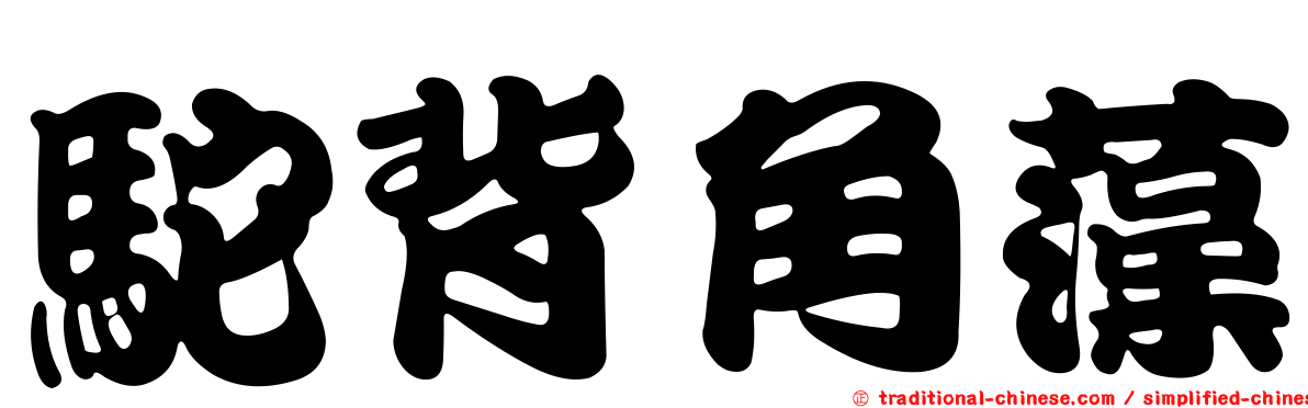 駝背角藻