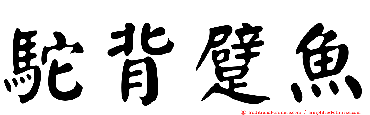 駝背躄魚