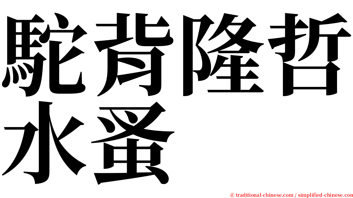 駝背隆哲水蚤 serif font