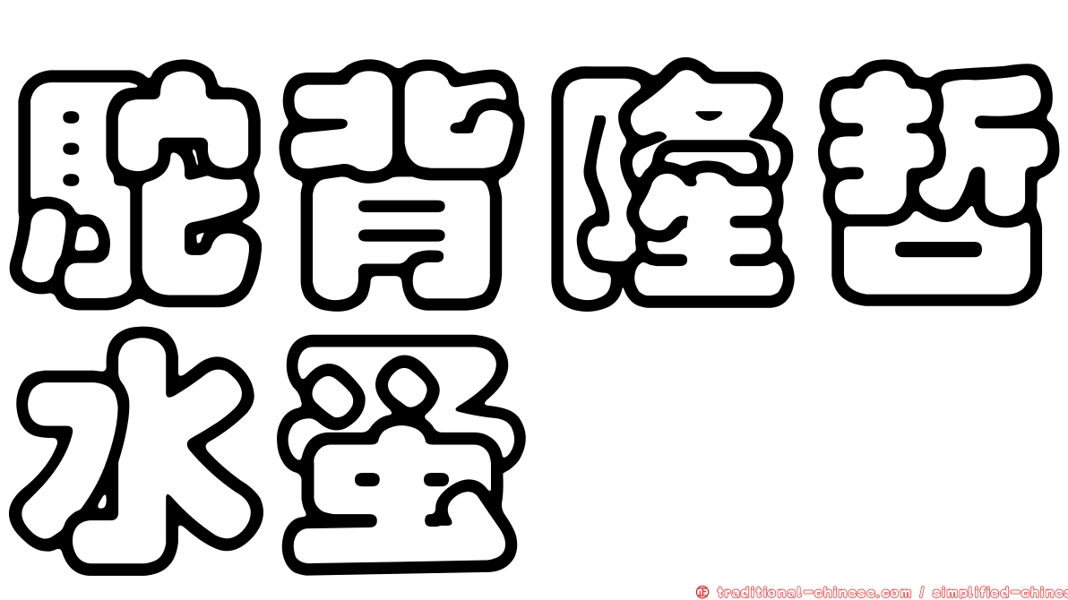 駝背隆哲水蚤