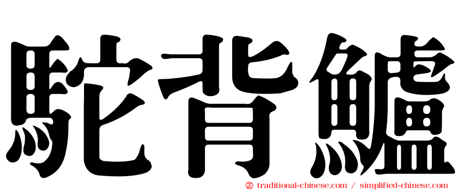 駝背鱸
