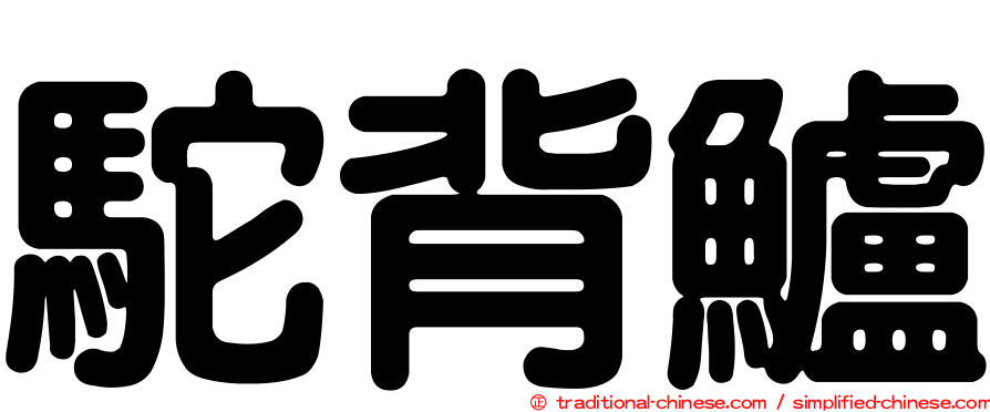 駝背鱸