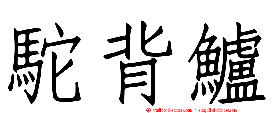 駝背鱸